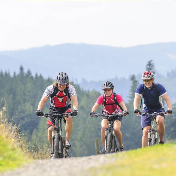 Fahrrad & Mountainbikeurlaub in Baiersbronn im